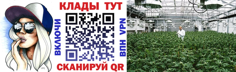 Наркошоп купить COCAIN  Alpha PVP  MDMA  ГАШИШ  Канабис  Меф  Весьегонск