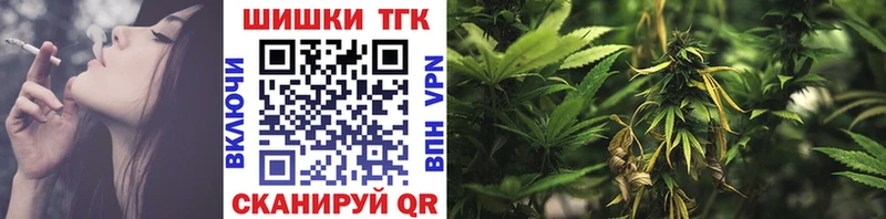 Купить закладки  Весьегонск  Бошки Шишки планчик 